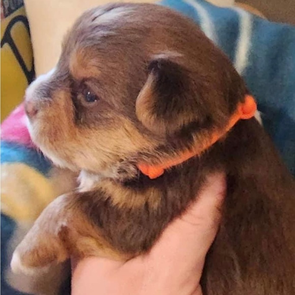 Skeleton in my closet says “Let’s DEAL!” - Picture 3 of 3